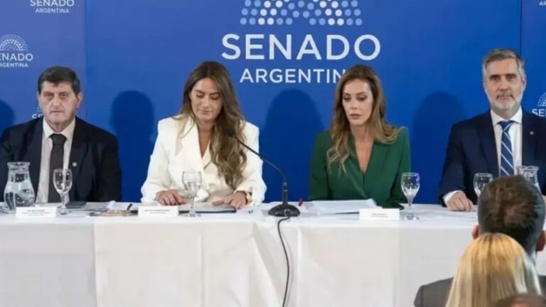 Royon presenta en el Senado un proyecto para regular el mercado de carbono: una oportunidad para Salta 108017 Salta Acompania El Desarr 768x432