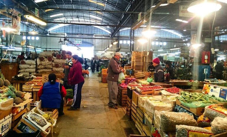 La crisis golpea la mesa: frutas y verduras desaparecen del carrito de compras en el Interior mercado de frutas salta