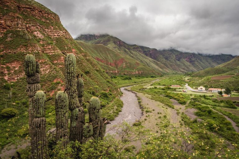 paisaje de salta