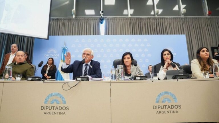 Gritos, insultos y forcejeos: la grieta también se discute a los golpes en el Congreso pelea en las comisiones